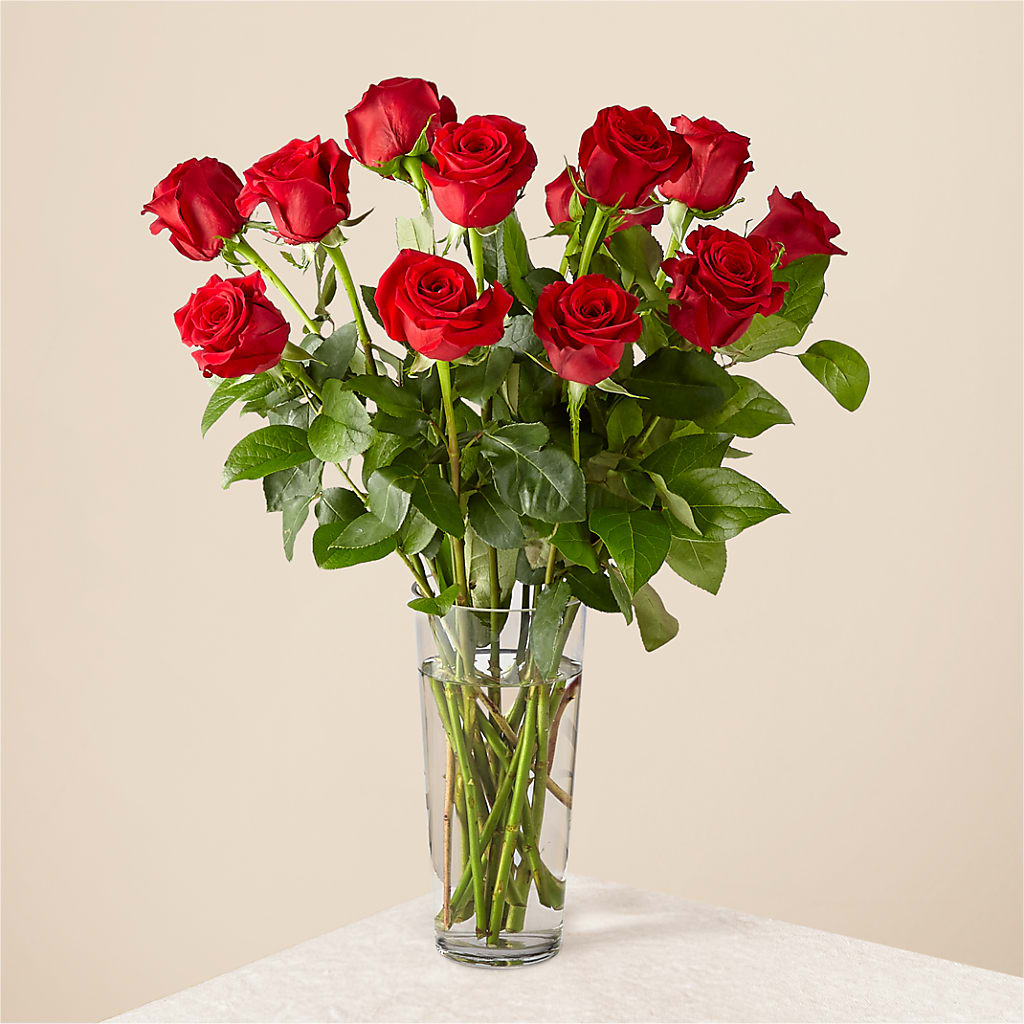Long Stem Red Rose Bouquet – ADAM & EVE FLOWERS & BALLOONS, Lafayette IN
