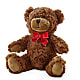 Adorable Plush Bear – ADAM & EVE FLOWERS & BALLOONS, Lafayette IN