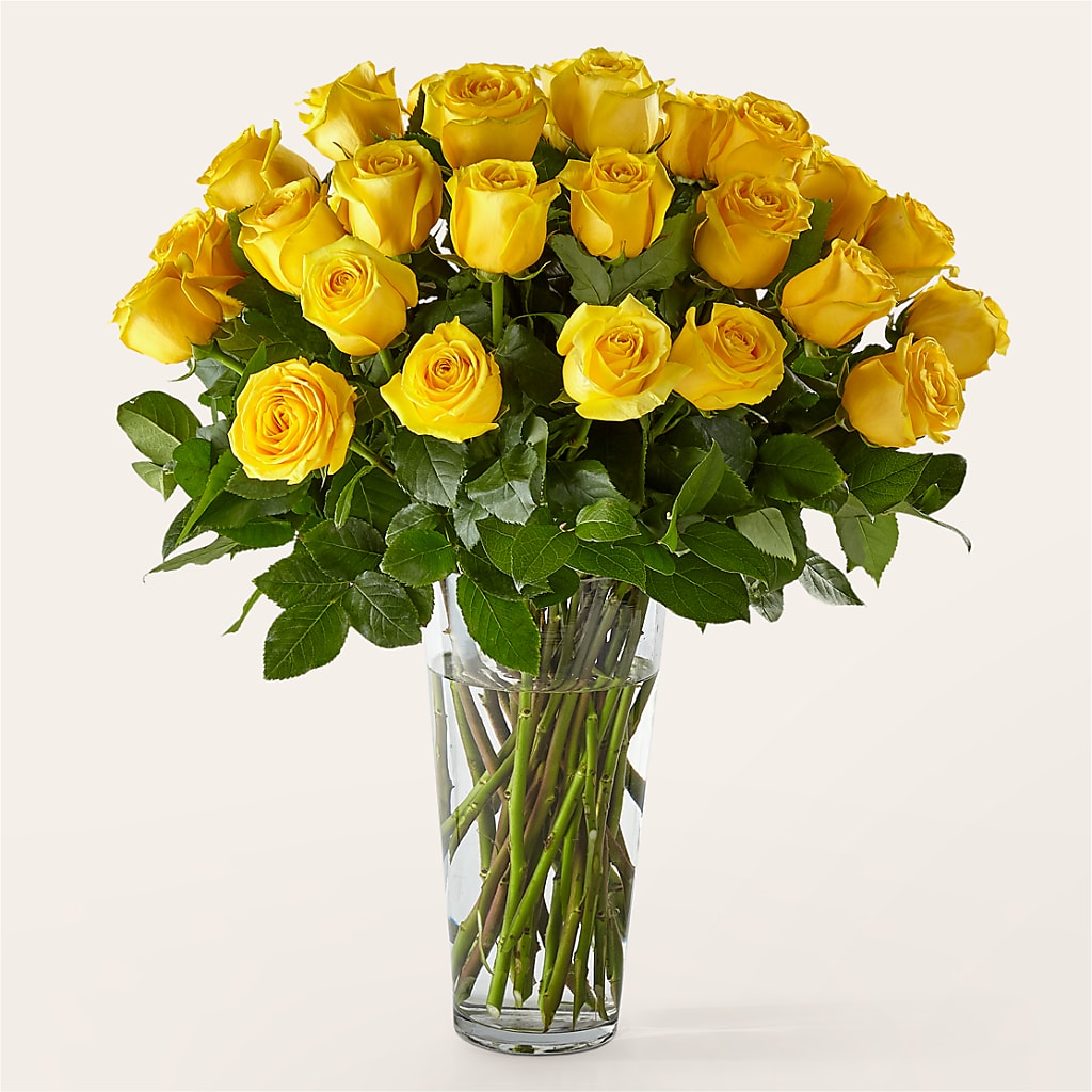 Long Stem Yellow Rose Bouquet – ADAM & EVE FLOWERS & BALLOONS, Lafayette IN