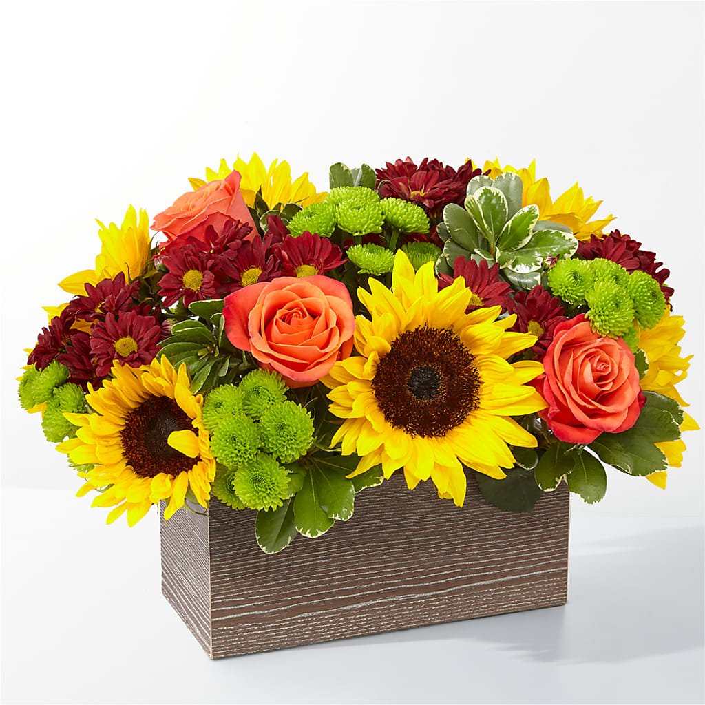 Happy Harvest Garden – ADAM & EVE FLOWERS & BALLOONS, Lafayette IN
