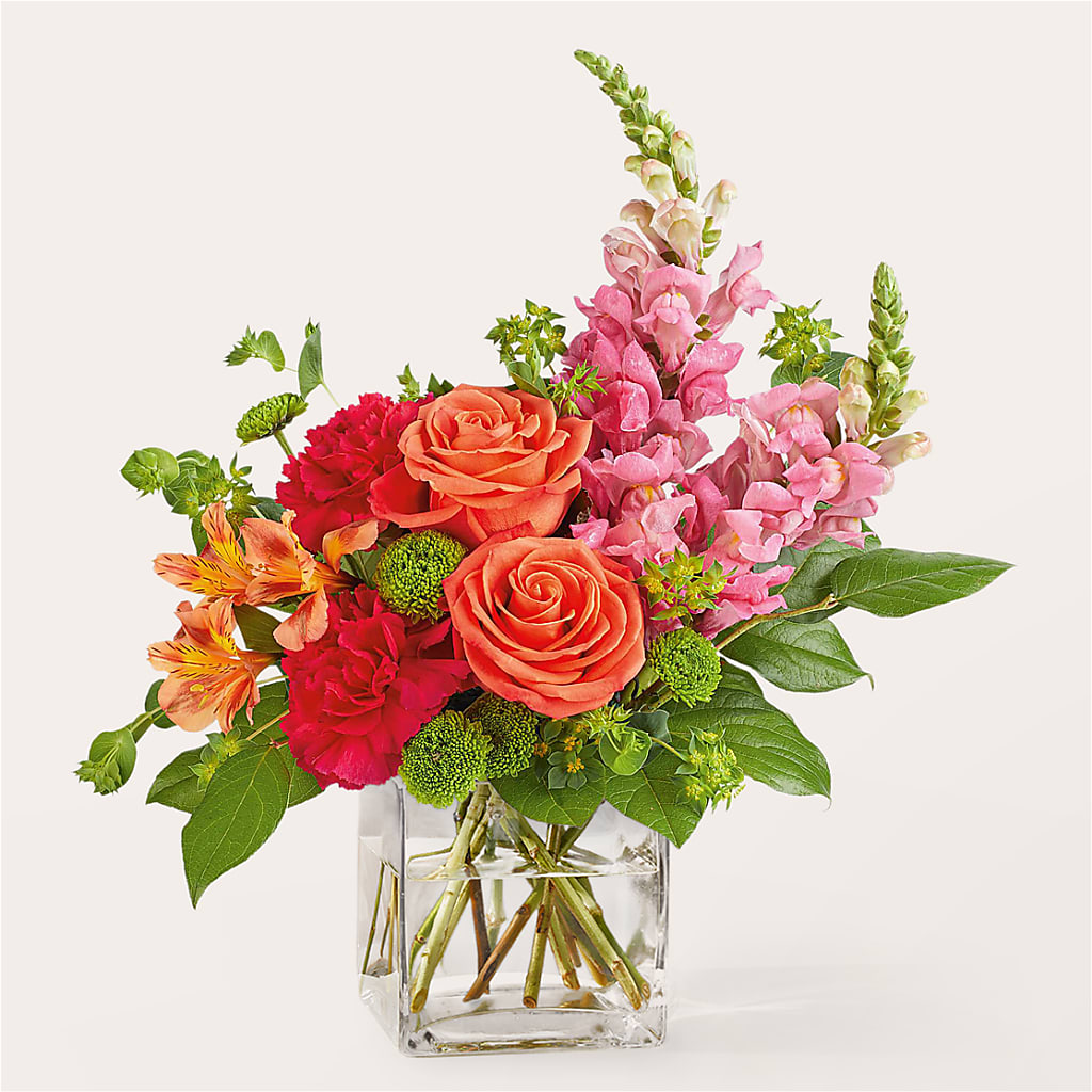 Cosmopolitan Bouquet – ADAM & EVE FLOWERS & BALLOONS, Lafayette IN