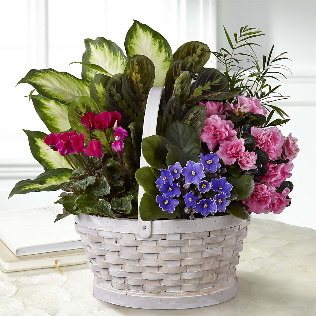 Peaceful Garden Planter – ADAM & EVE FLOWERS & BALLOONS, Lafayette IN
