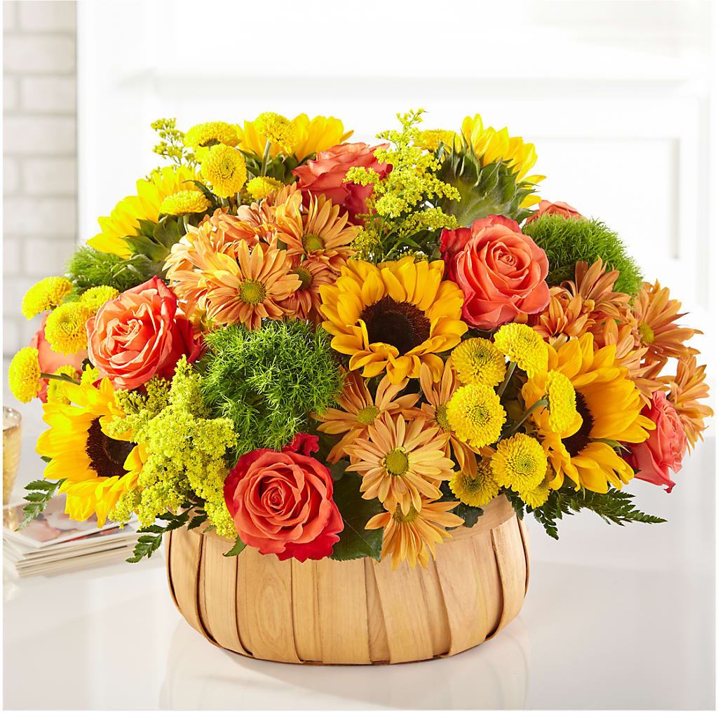 Harvest Sunflower Basket – ADAM & EVE FLOWERS & BALLOONS, Lafayette IN