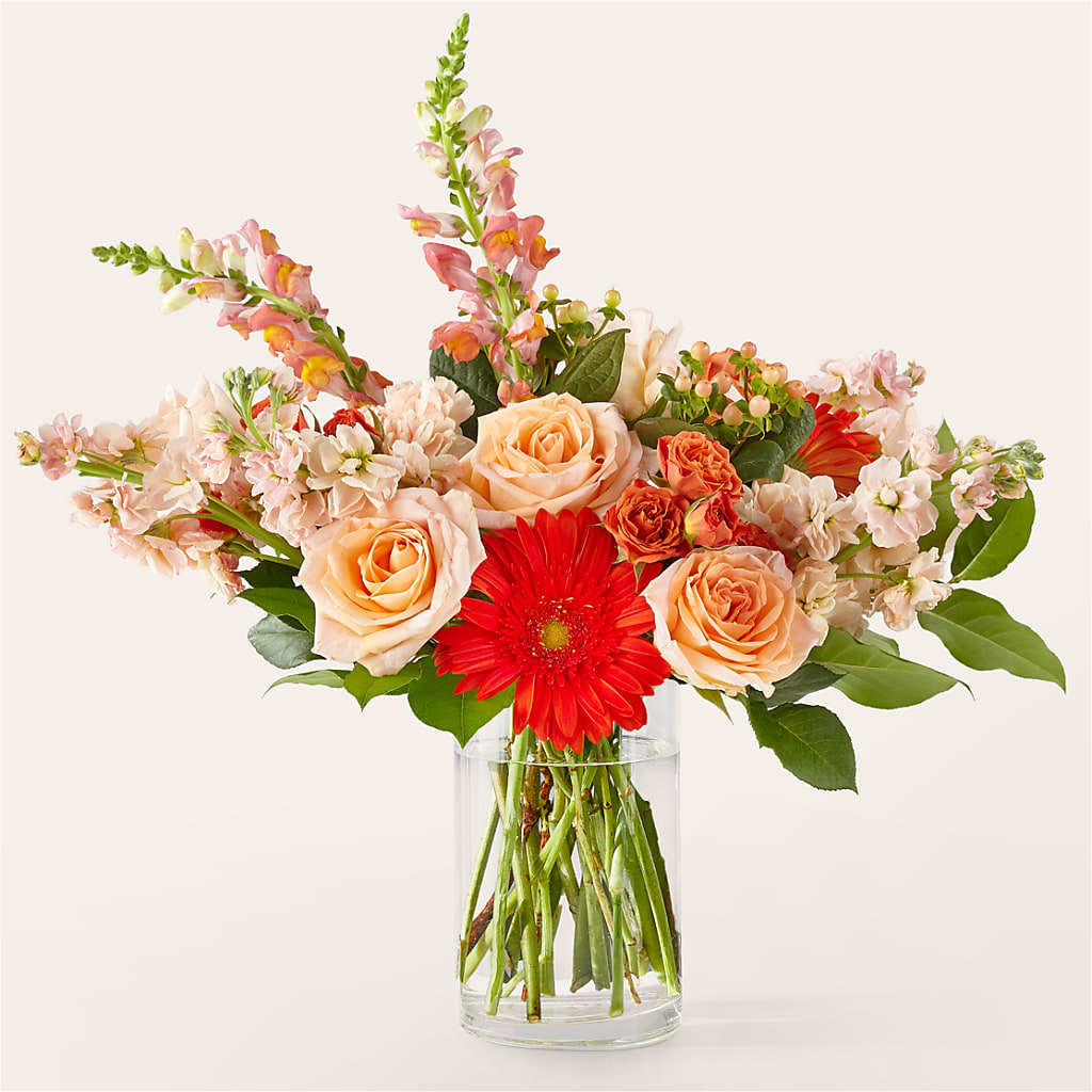 Paloma Please Bouquet – ADAM & EVE FLOWERS & BALLOONS, Lafayette IN