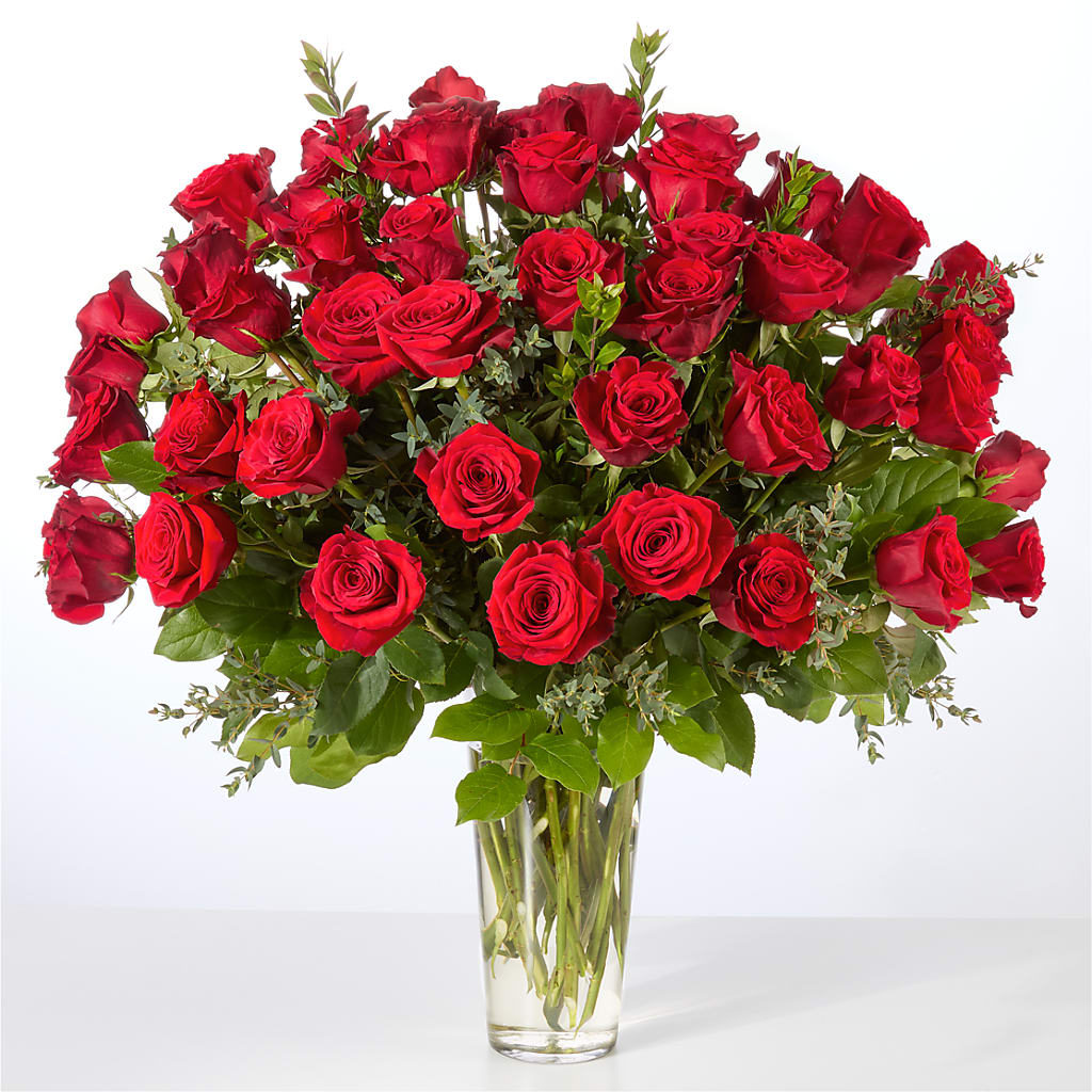 Forever Yours Fifty Stem Red Rose Bouquet – ADAM & EVE FLOWERS & BALLOONS, Lafayette IN
