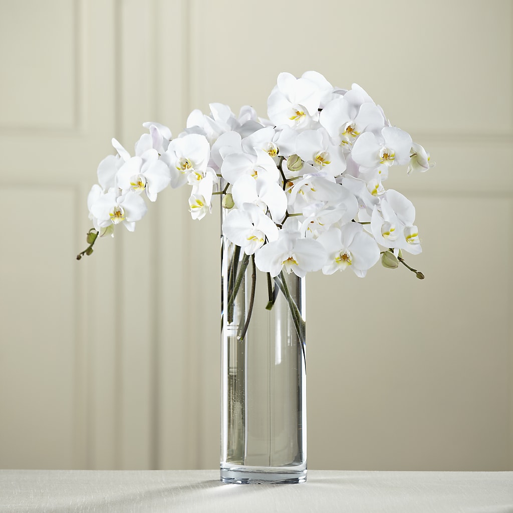 White Phalaenopsis Bouquet – ADAM & EVE FLOWERS & BALLOONS, Lafayette IN