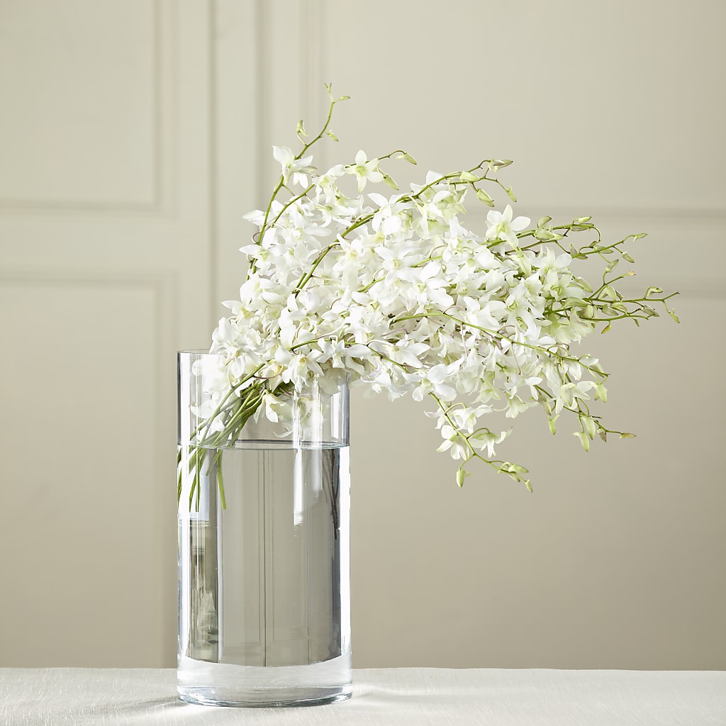 White Dendrobium Bouquet – ADAM & EVE FLOWERS & BALLOONS, Lafayette IN