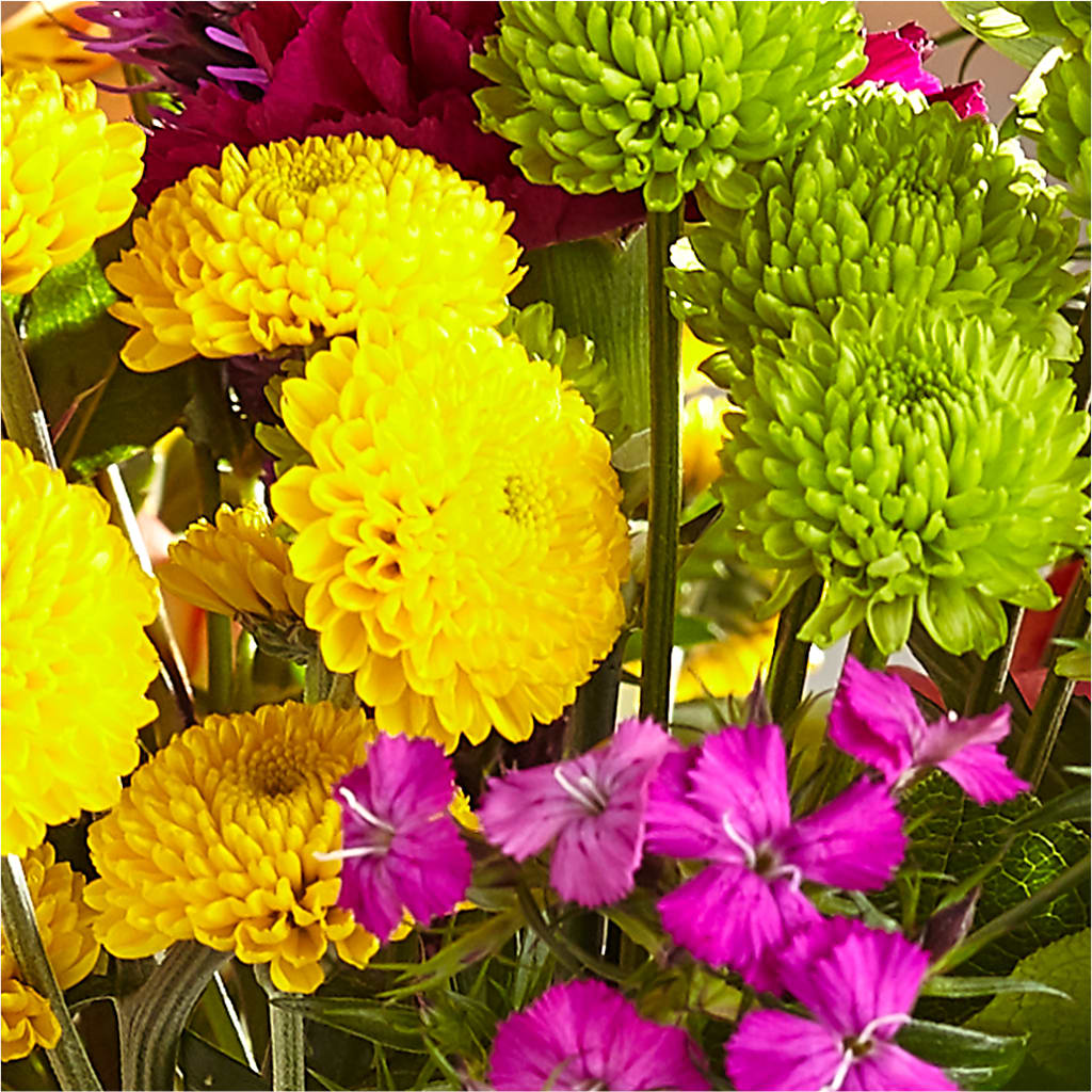 Bold & Bright – A Florist Original – ADAM & EVE FLOWERS & BALLOONS, Lafayette IN