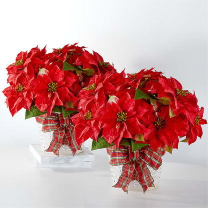 Happiest Holidays Poinsettia Bundle – ADAM & EVE FLOWERS & BALLOONS, Lafayette IN