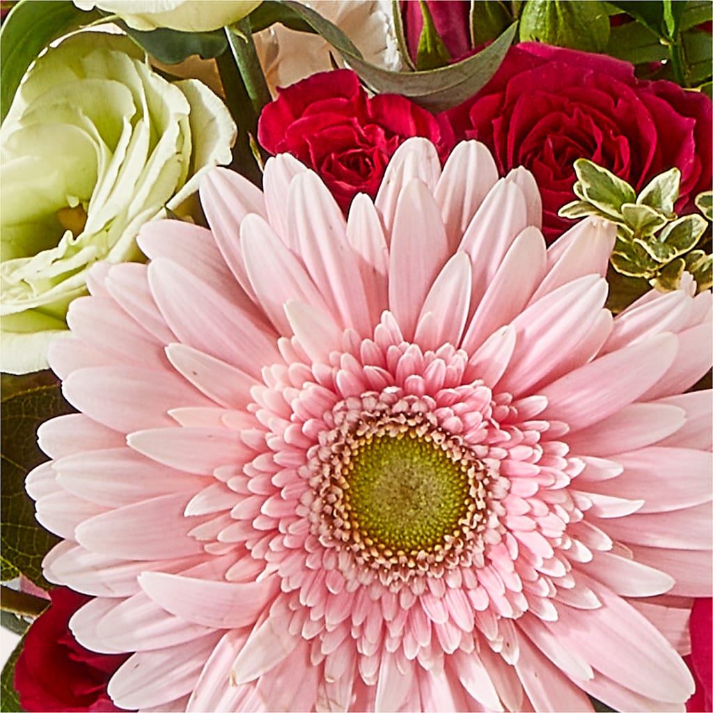 Too Cute Bouquet – ADAM & EVE FLOWERS & BALLOONS, Lafayette IN