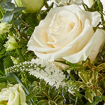 Cashmere Bouquet – ADAM & EVE FLOWERS & BALLOONS, Lafayette IN