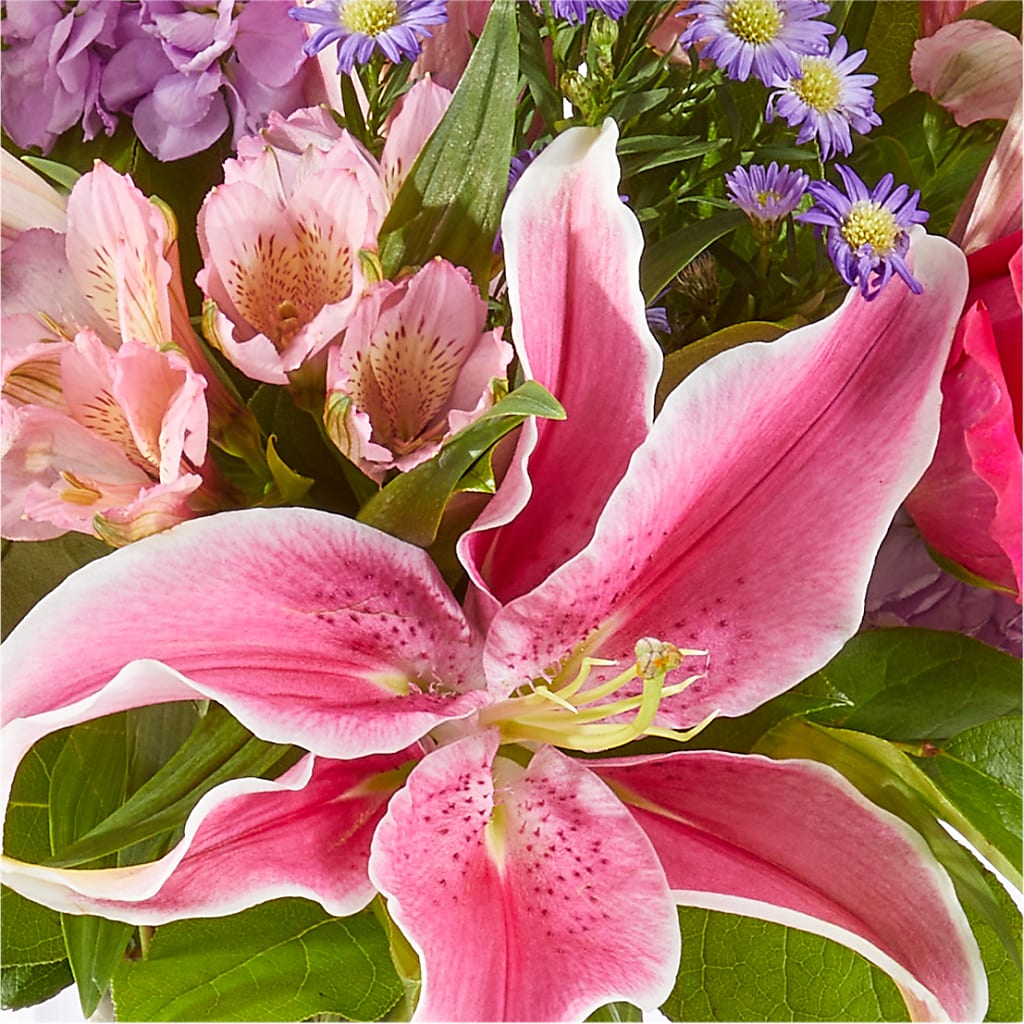 Written in the Stars Bouquet – ADAM & EVE FLOWERS & BALLOONS, Lafayette IN
