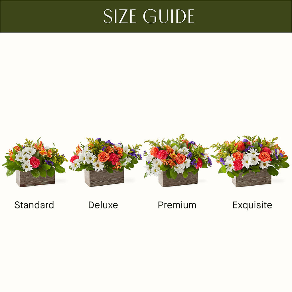 Oopsie Daisy Box Bouquet – ADAM & EVE FLOWERS & BALLOONS, Lafayette IN