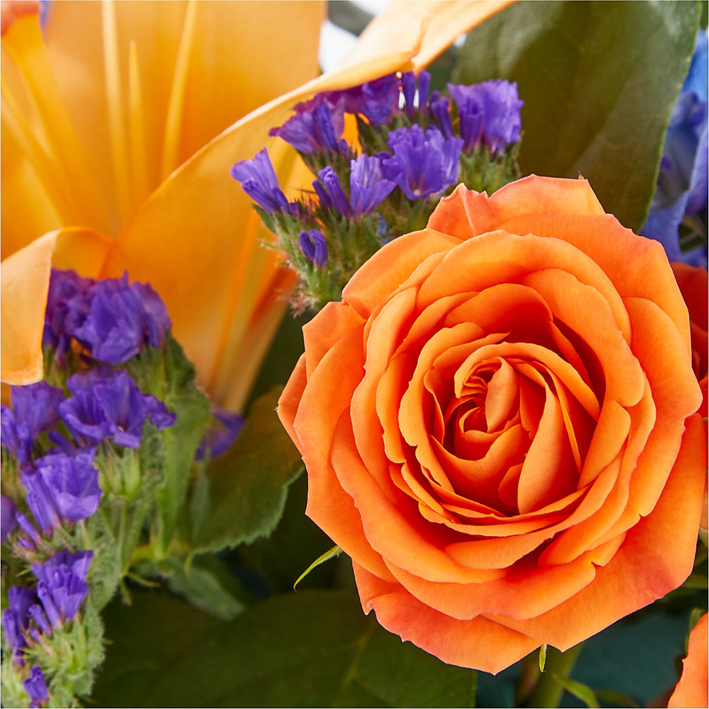 Radiant Citrus Box Bouquet – ADAM & EVE FLOWERS & BALLOONS, Lafayette IN