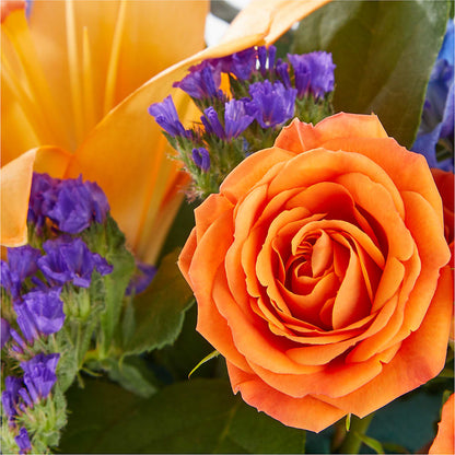 Radiant Citrus Box Bouquet – ADAM & EVE FLOWERS & BALLOONS, Lafayette IN