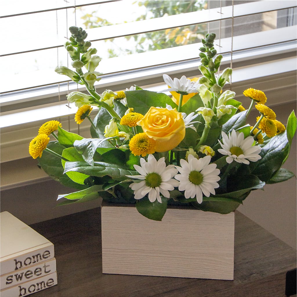 Sun Salutation Box Bouquet – ADAM & EVE FLOWERS & BALLOONS, Lafayette IN