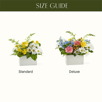 Sun Salutation Box Bouquet – ADAM & EVE FLOWERS & BALLOONS, Lafayette IN