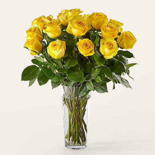 Long Stem Yellow Rose Bouquet – ADAM & EVE FLOWERS & BALLOONS, Lafayette IN
