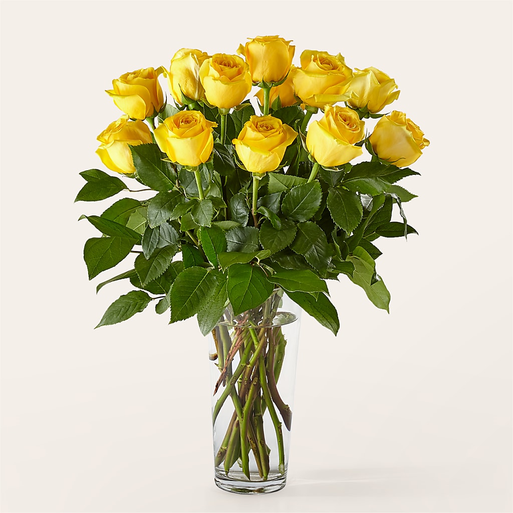Long Stem Yellow Rose Bouquet – ADAM & EVE FLOWERS & BALLOONS, Lafayette IN