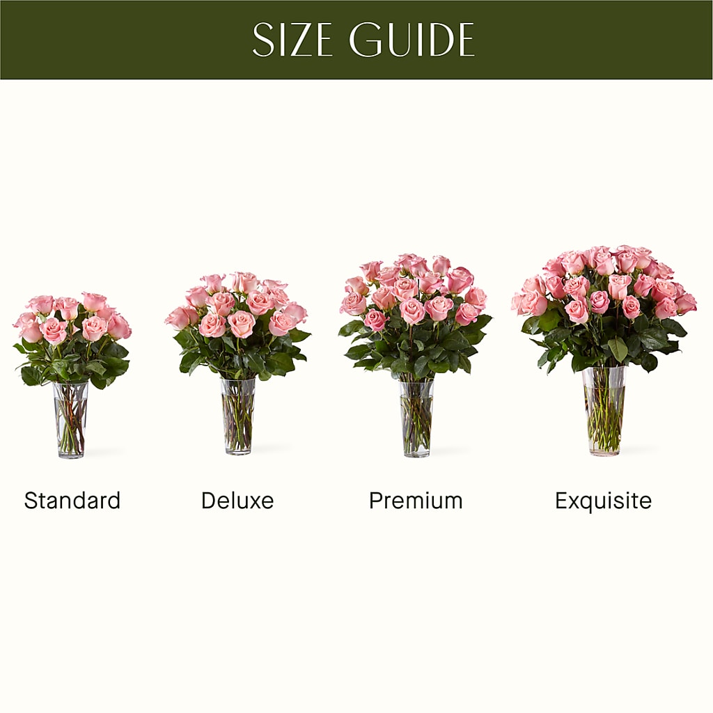 Long Stem Pink Rose Bouquet – ADAM & EVE FLOWERS & BALLOONS, Lafayette IN