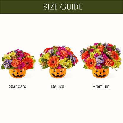 Tricks & Treats Pumpkin – ADAM & EVE FLOWERS & BALLOONS, Lafayette IN
