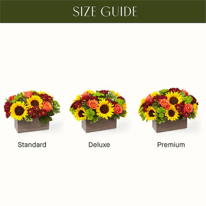 Happy Harvest Garden – ADAM & EVE FLOWERS & BALLOONS, Lafayette IN