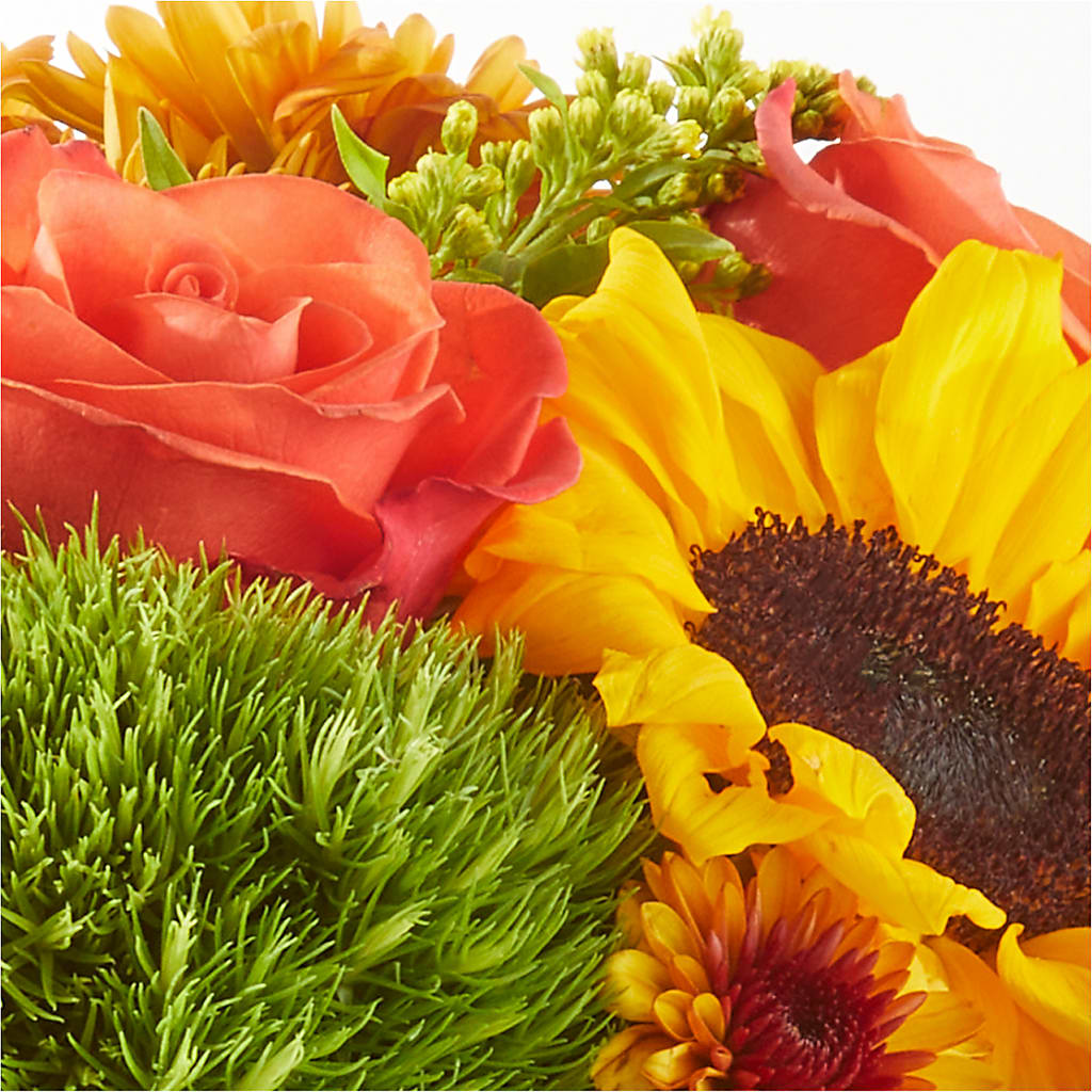Farmer’s Market Stroll Bouquet – ADAM & EVE FLOWERS & BALLOONS, Lafayette IN