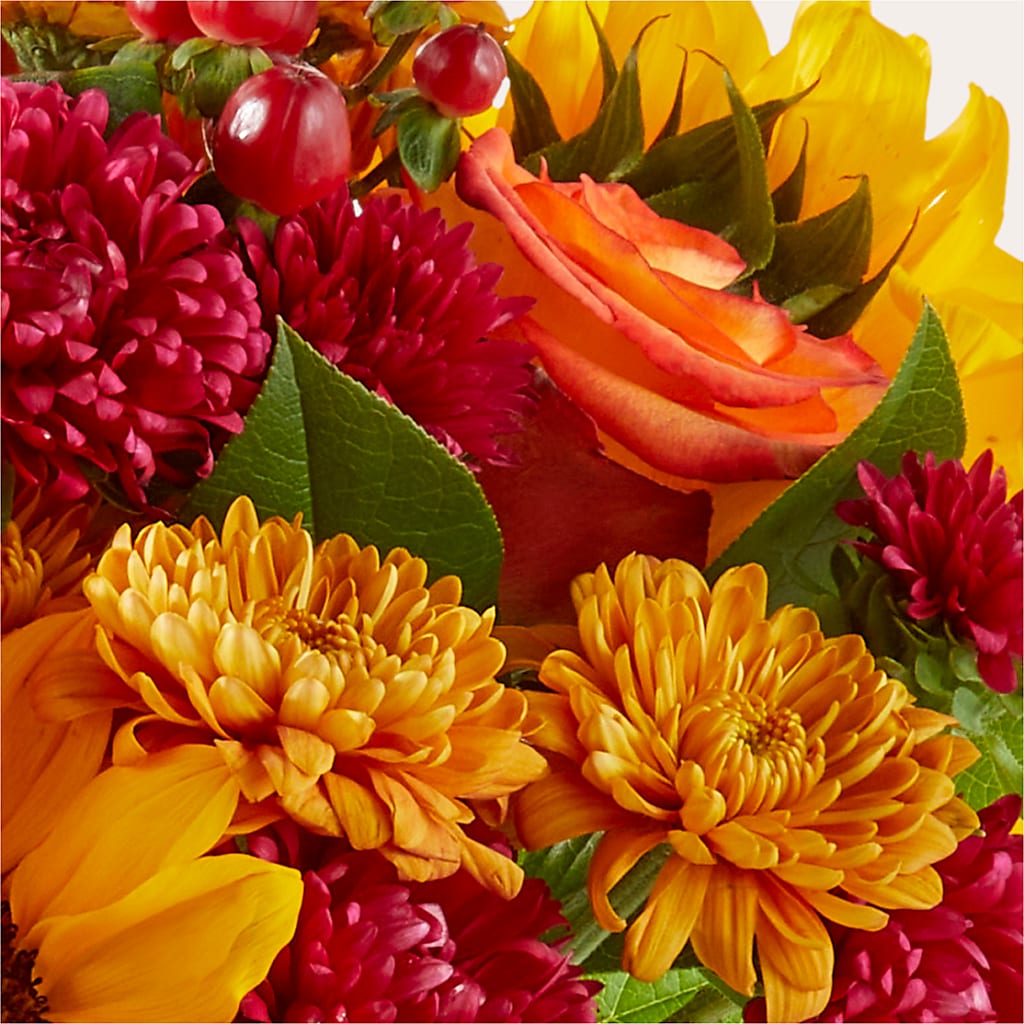 Sweater Season - A Florist Original – ADAM & EVE FLOWERS & BALLOONS, Lafayette IN