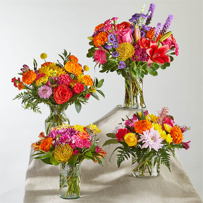 Feast of Color – A Florist Original – ADAM & EVE FLOWERS & BALLOONS, Lafayette IN