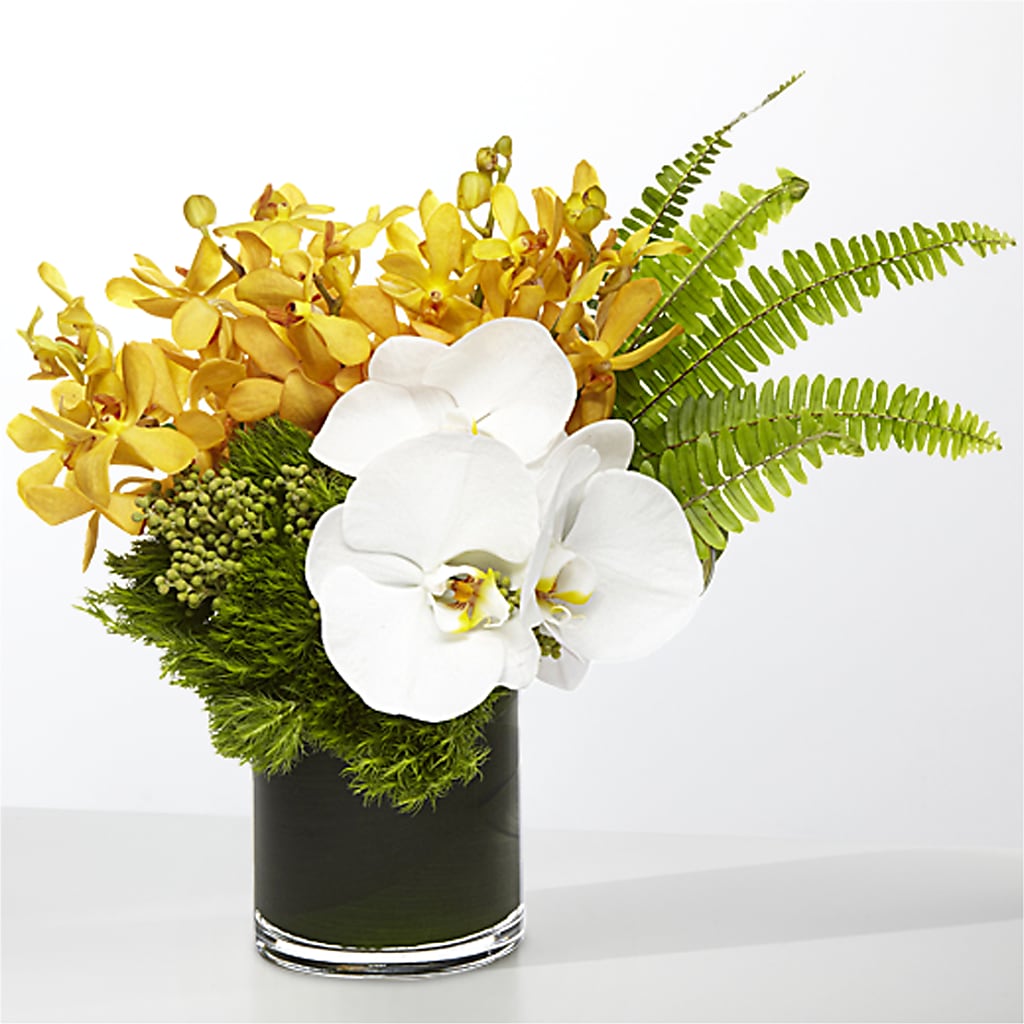 The Tropics – ADAM & EVE FLOWERS & BALLOONS, Lafayette IN