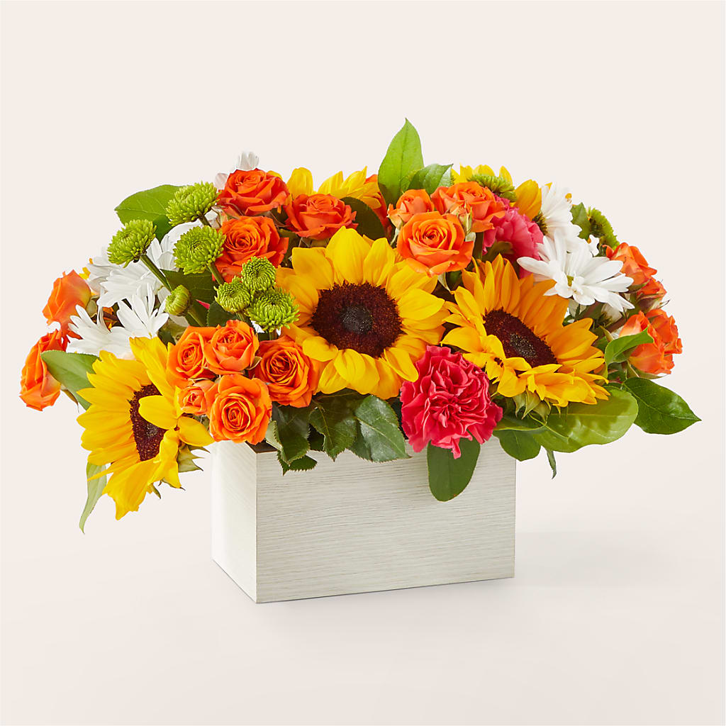 Sun-drenched Blooms Box Bouquet – ADAM & EVE FLOWERS & BALLOONS, Lafayette IN