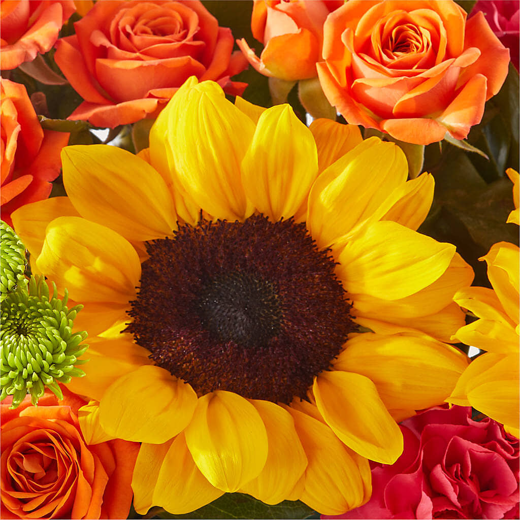 Sun-drenched Blooms Box Bouquet – ADAM & EVE FLOWERS & BALLOONS, Lafayette IN