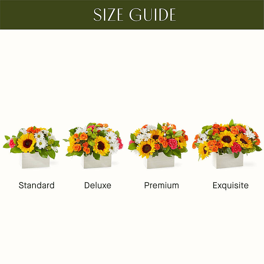 Sun-drenched Blooms Box Bouquet – ADAM & EVE FLOWERS & BALLOONS, Lafayette IN