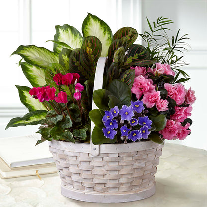 Peaceful Garden Planter – ADAM & EVE FLOWERS & BALLOONS, Lafayette IN