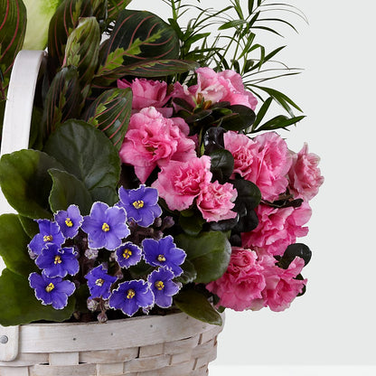 Peaceful Garden Planter – ADAM & EVE FLOWERS & BALLOONS, Lafayette IN