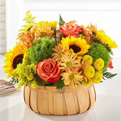 Harvest Sunflower Basket – ADAM & EVE FLOWERS & BALLOONS, Lafayette IN