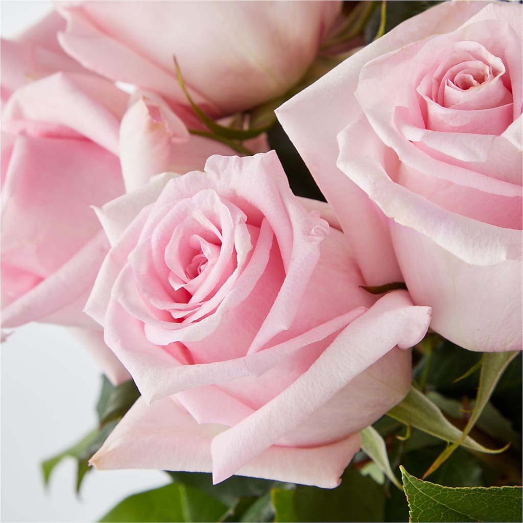 Picture Perfect Pink Rose Bouquet – ADAM & EVE FLOWERS & BALLOONS, Lafayette IN