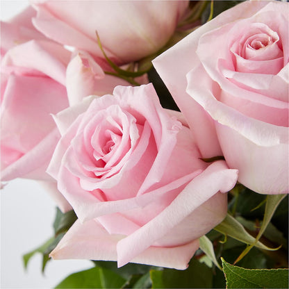 Picture Perfect Pink Rose Bouquet – ADAM & EVE FLOWERS & BALLOONS, Lafayette IN