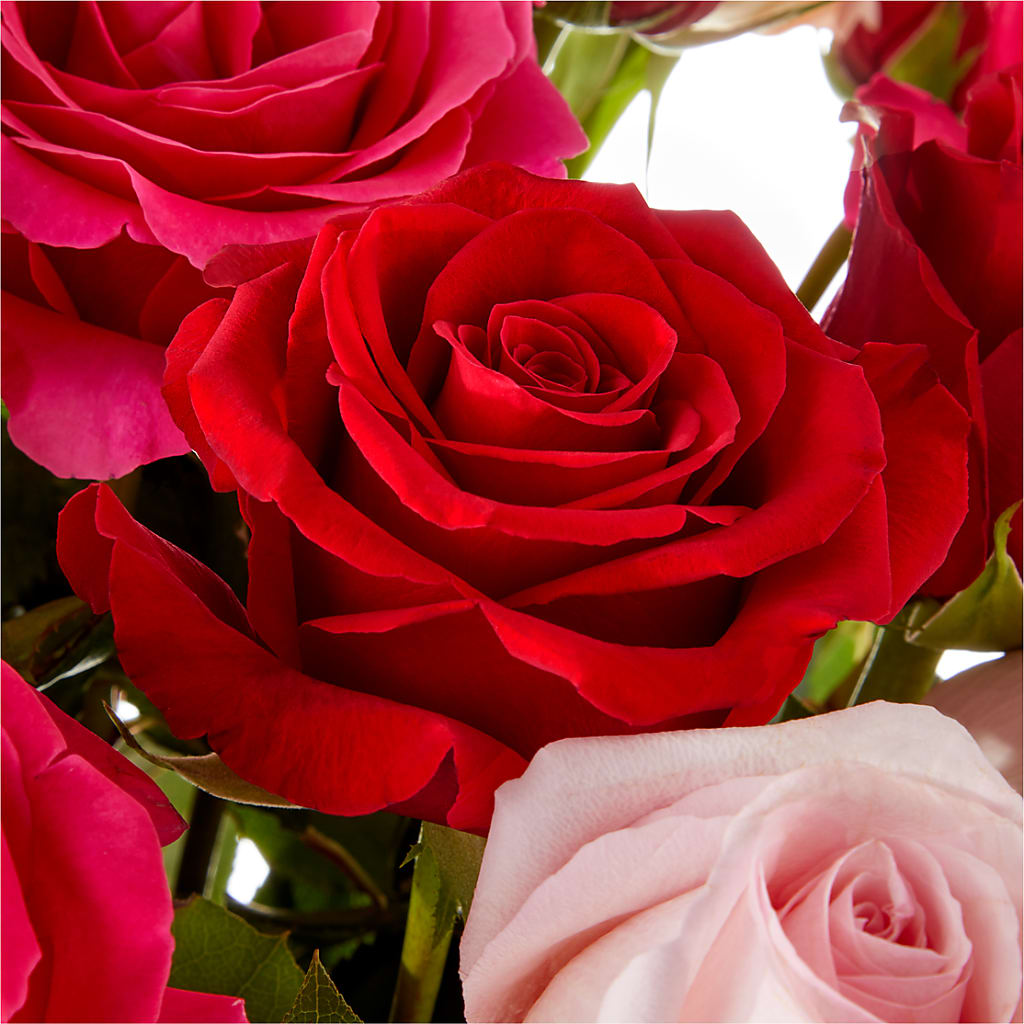 Love Notes Rose Bouquet – ADAM & EVE FLOWERS & BALLOONS, Lafayette IN