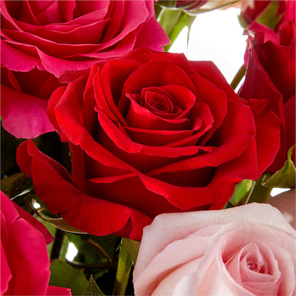 Love Notes Rose Bouquet – ADAM & EVE FLOWERS & BALLOONS, Lafayette IN