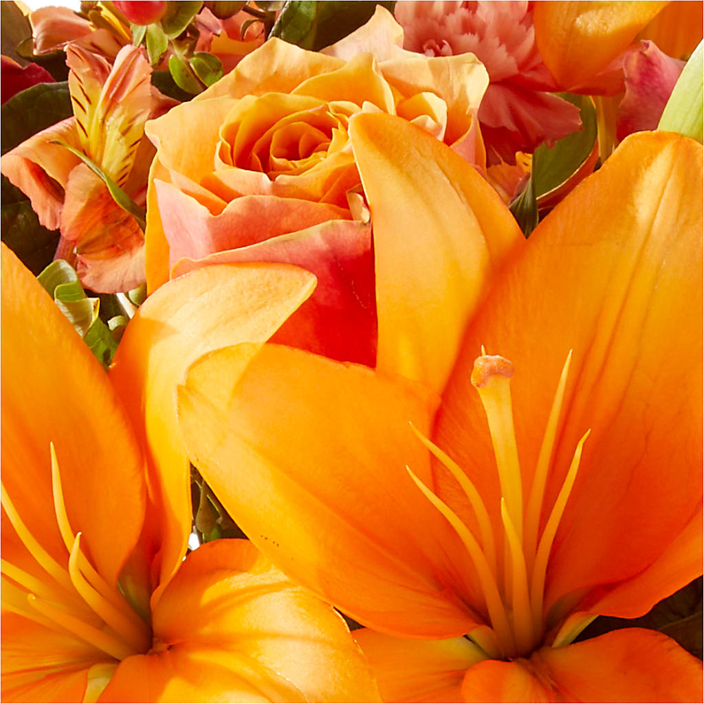 Afternoon Light Bouquet – ADAM & EVE FLOWERS & BALLOONS, Lafayette IN