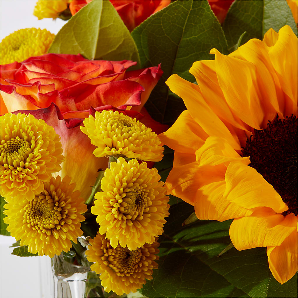 Picnic in the Park Bouquet – ADAM & EVE FLOWERS & BALLOONS, Lafayette IN