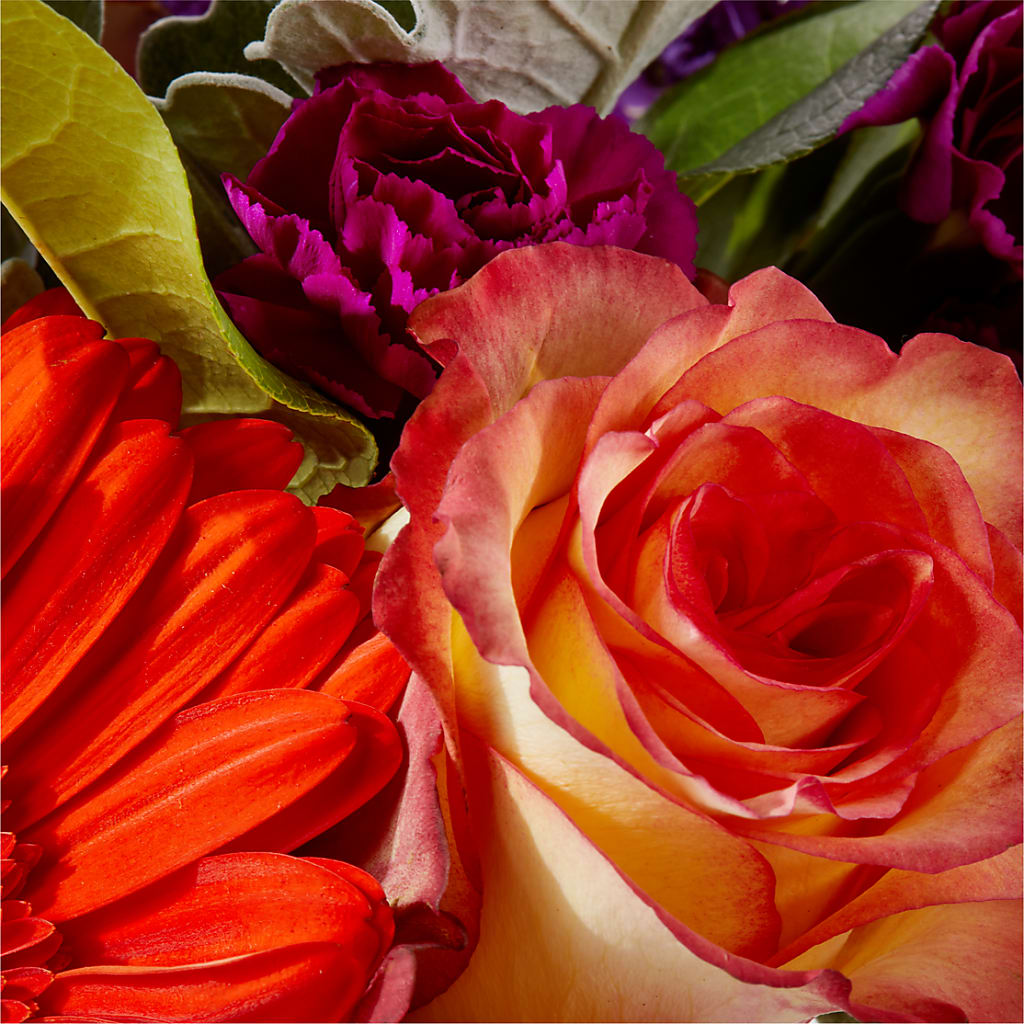 Sangria Bouquet – ADAM & EVE FLOWERS & BALLOONS, Lafayette IN