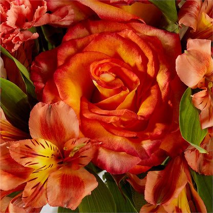 Apricot Glow Bouquet – ADAM & EVE FLOWERS & BALLOONS, Lafayette IN