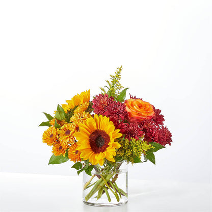 Flannel Scarf Bouquet – ADAM & EVE FLOWERS & BALLOONS, Lafayette IN
