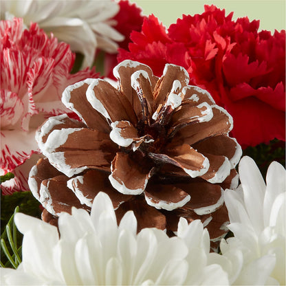 Candy Cane Lane Bouquet – ADAM & EVE FLOWERS & BALLOONS, Lafayette IN