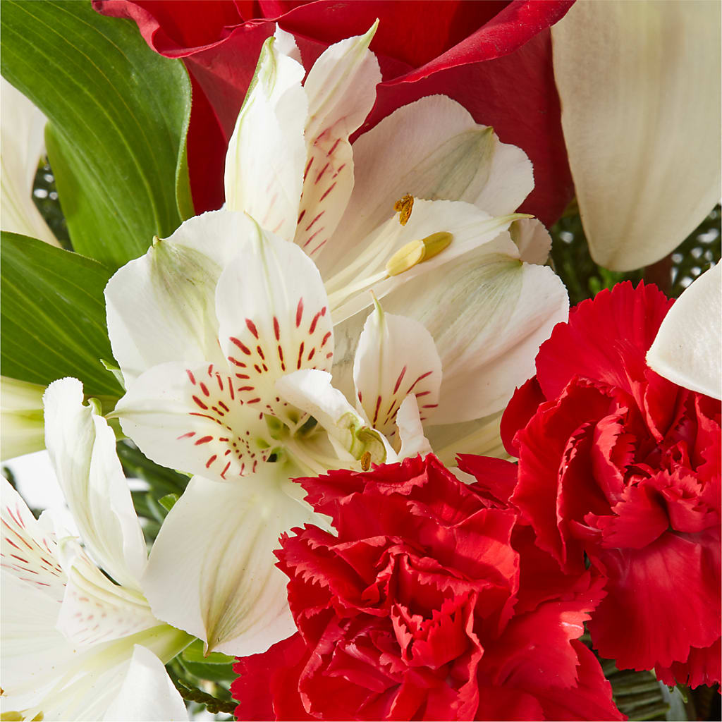 Holiday Season Bouquet – ADAM & EVE FLOWERS & BALLOONS, Lafayette IN