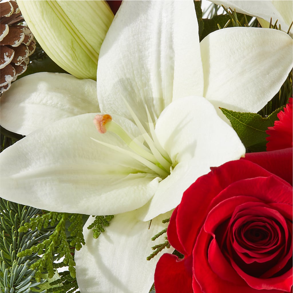 Oh So Jolly Bouquet – ADAM & EVE FLOWERS & BALLOONS, Lafayette IN