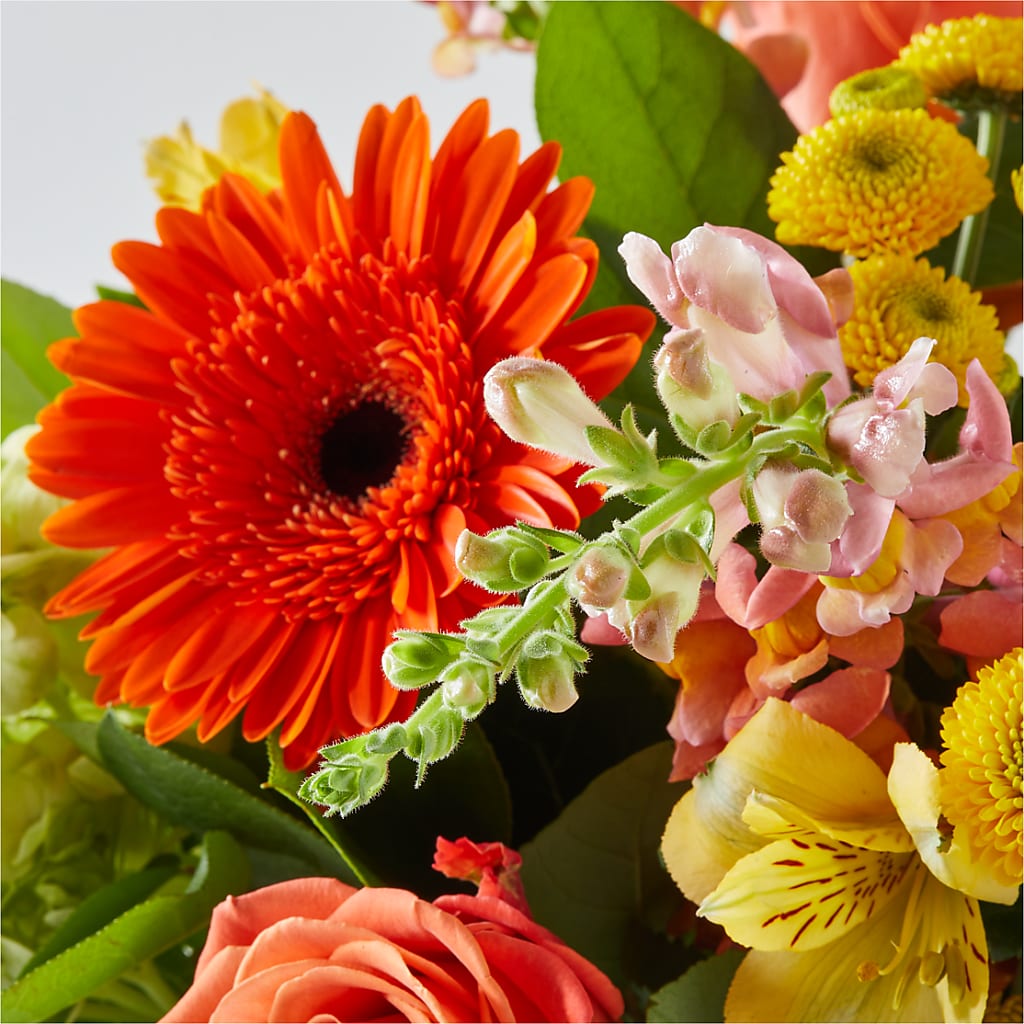 Autumn Sunshine Bouquet – ADAM & EVE FLOWERS & BALLOONS, Lafayette IN