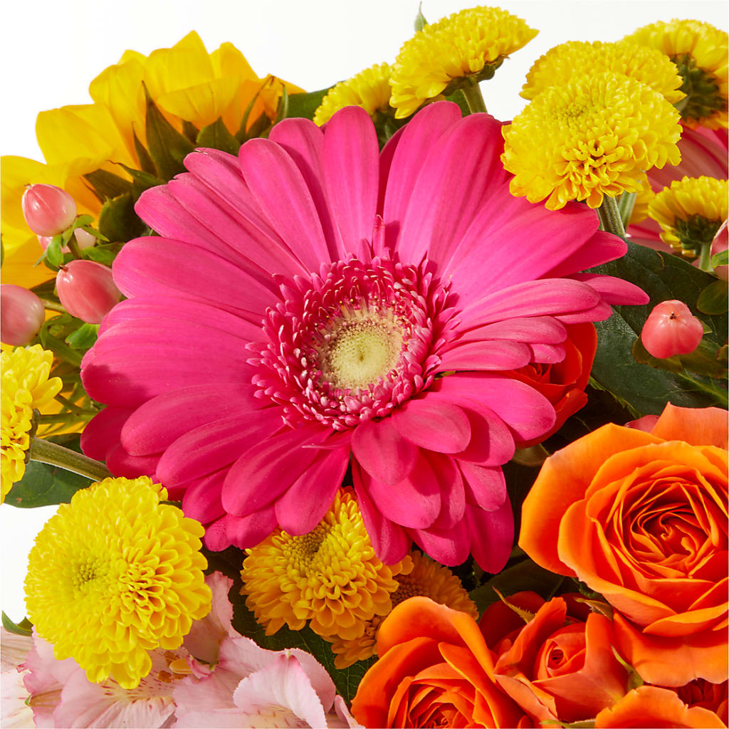 Beach Day Bouquet – ADAM & EVE FLOWERS & BALLOONS, Lafayette IN